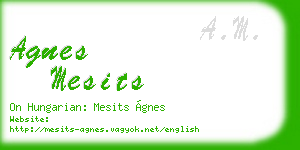 agnes mesits business card